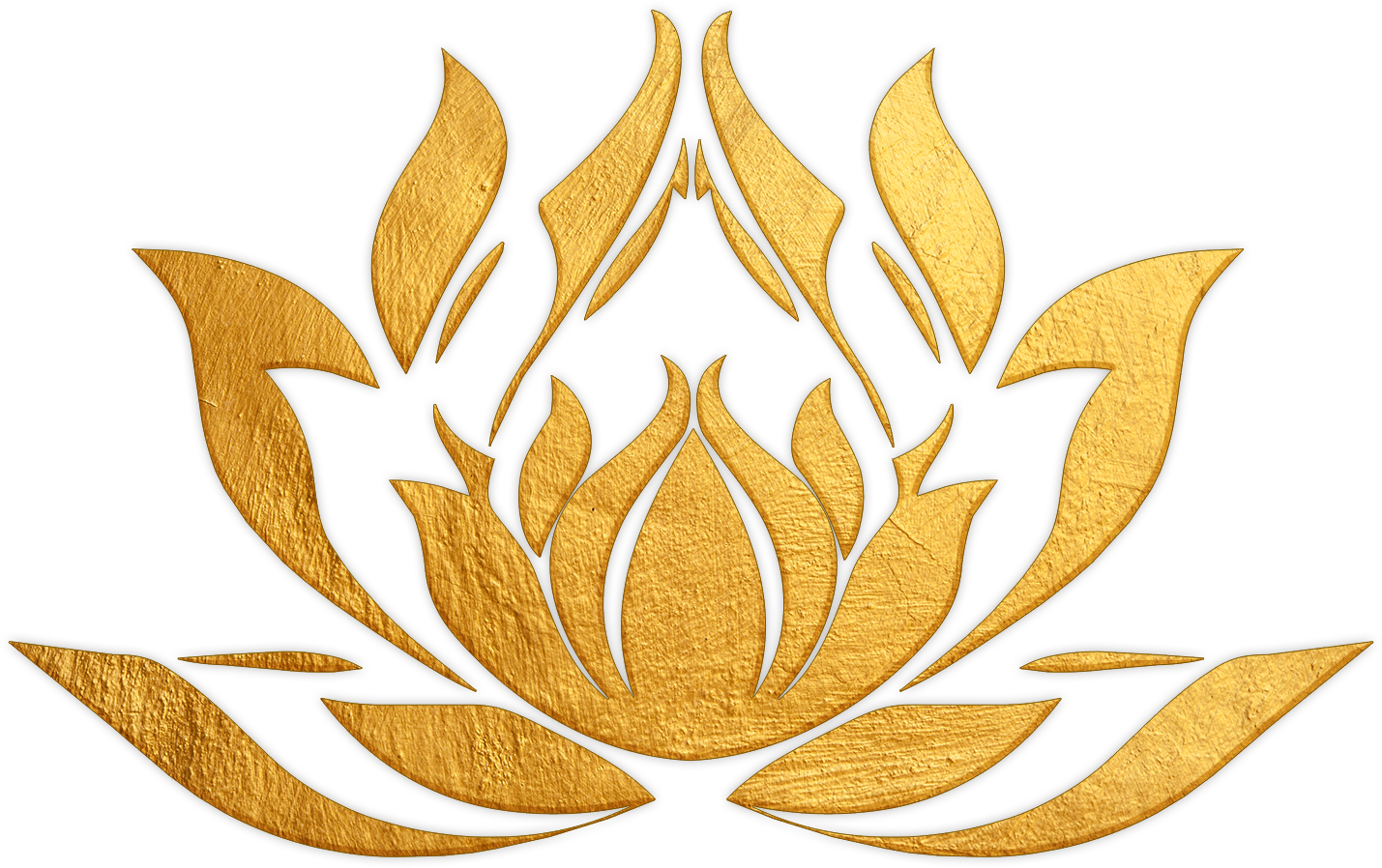 Laguna MSM Facilities Management logo